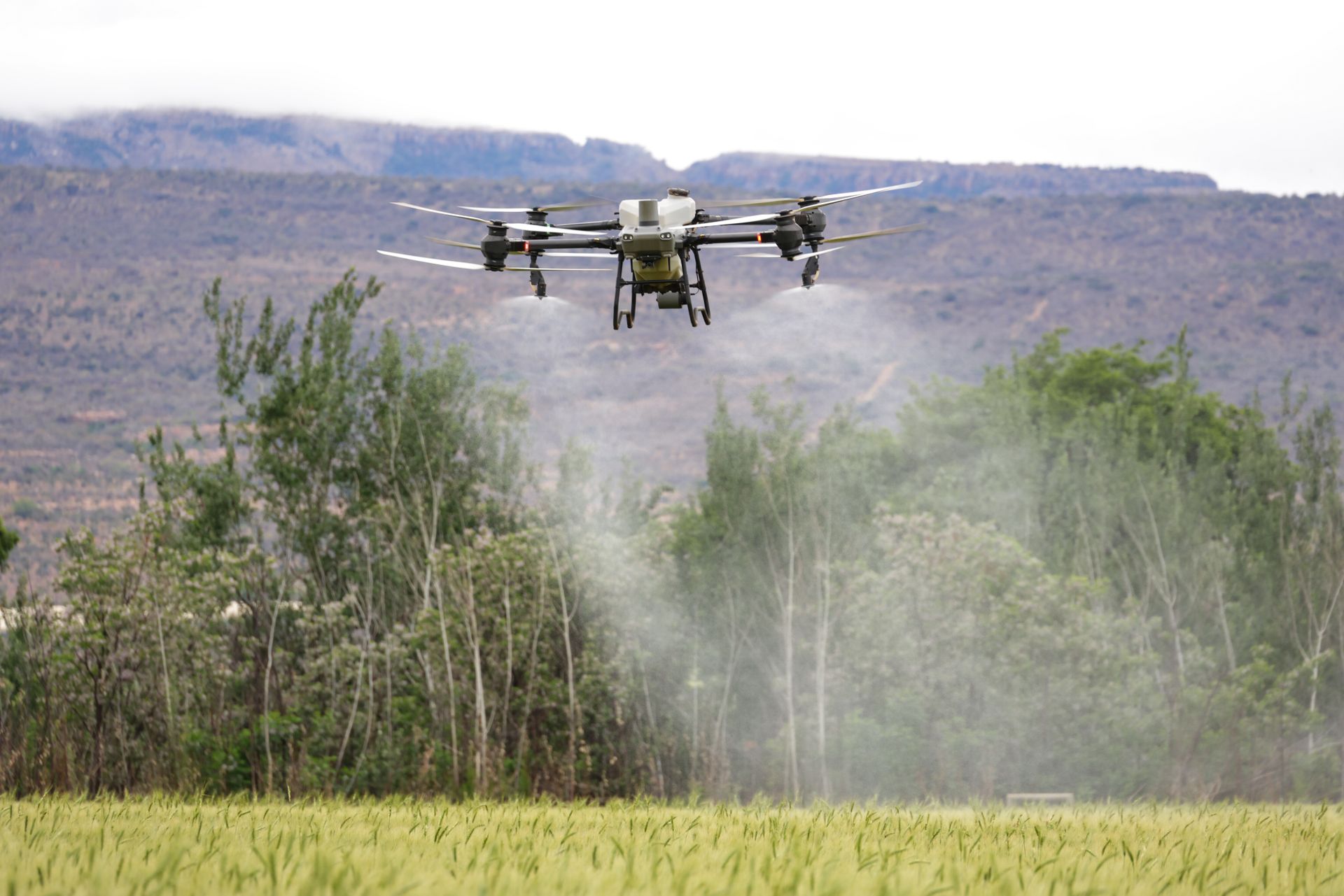 DJI Agras T50