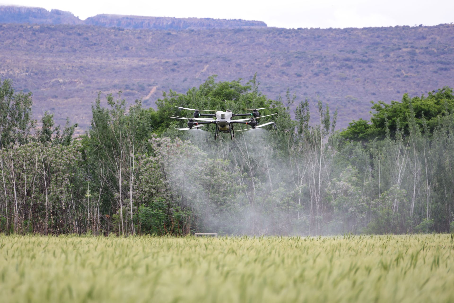 DJI Agras T100